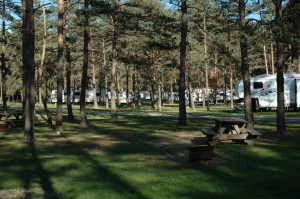 Kalyumet Camping Cabins & RV Park
